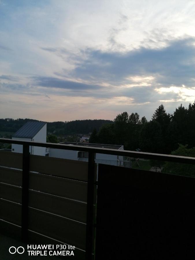 King apartament 1 Apartment Sankt Englmar Bagian luar foto