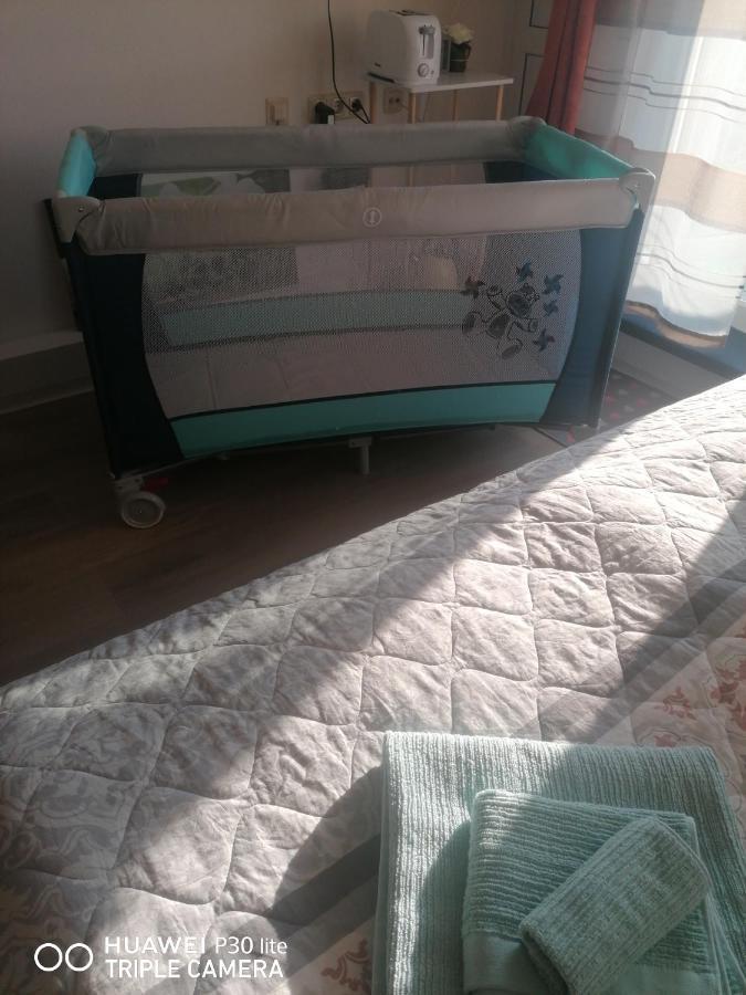 King apartament 1 Apartment Sankt Englmar Bagian luar foto