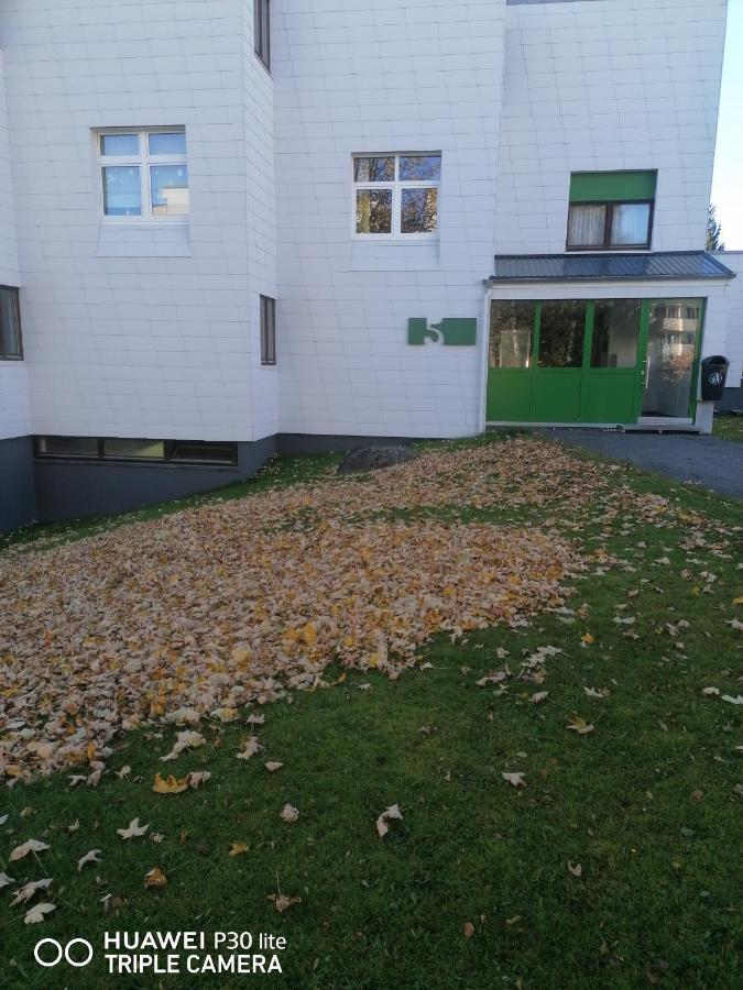King apartament 1 Apartment Sankt Englmar Bagian luar foto
